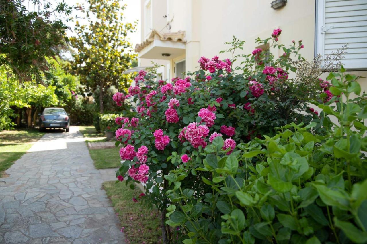 Palaiohora Avias Apartments Exterior photo